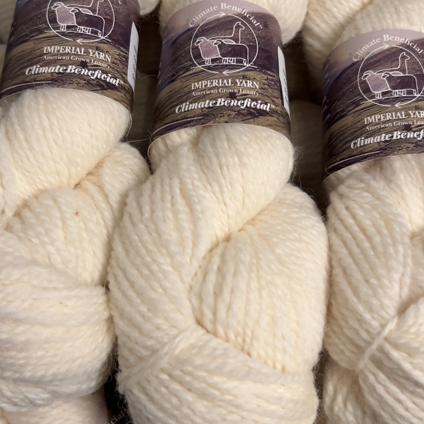 Bountiful Blessings Blanket Knitting Kit